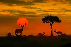 Scenic Landscape Photography