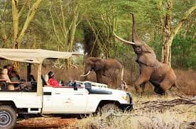 Tsavo National Park - Home to vast landscapes and the famous "red elephants". A wilderness of stunning intensity.
